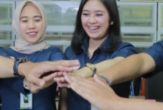 BPJS Kesehatan Buka Lowongan Kerja: Minimal S1 