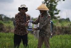 Dukung Swasembada Pangan Nasional, PTBA dan UGM Hadirkan Produk Kalium Humat dari Hilirisasi Batu bara