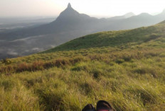 7 Fakta Bukit Batu Putri Lahat: Wisata Baru 900 Mdpl, Legenda Sabana & Panorama Menawan
