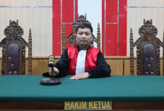 Mengenal Aji Malik Hakim Asal Tanjung Enim yang Vonis Ibu di Buton Aniaya Pemerkosa Anak Tanpa Dipenjara