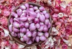 Kulit Bawang Merah: Dari Sampah Dapur Menjadi Solusi Pertanian dan Pestisida Alami