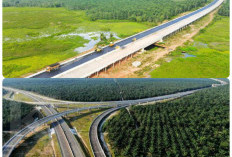 Jalan Tol Baru Ini Bisa Ubah Nasib Ekonomi Sumsel, Begini Dampaknya!