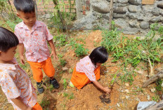 Murid Paud Kamboja Bertanam di Kebun Sekolah