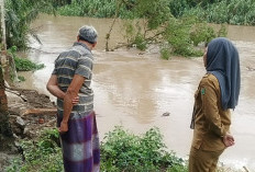 Rumah Warga Sebagian Ambruk Tergerus Sungai Enim: Minta Dibangun Talud