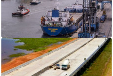 Ekonomi Sumsel Bangkit: Jalan Tol sebagai Poros Ekonomi, Transportasi Massal dan Logistik Modern  