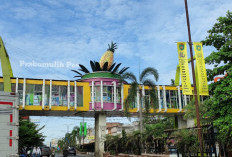 Bukan Prabumulih Timur, Bisa Tebak Kecamatan Terpadat di Prabumulih. Cek Mungkin Tempat Tinggal Kamu!