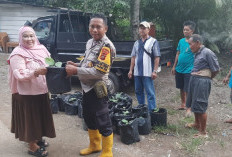 Dukung Ketahanan Pangan, Bagikan Bibit Terong Ungu