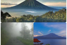 Apa yang Membuat Destinasi Sejuk di Sumsel Unik?  ini 2 Lokasi dan Alasannya