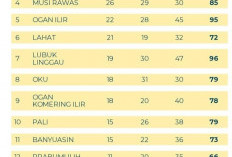 Klasemen Sementara, Kontingen Muara Enim Kukuhkan Posisi Ketiga di Porprov XV Muba