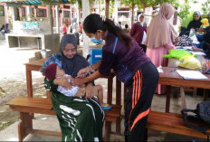 Posyandu Jadi Tulang Punggung Kesehatan Ibu dan Anak, Ini Kecamatan Paling Banyak Posyandu di Muara Enim 