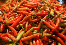 Cabai Awet Berbulan-bulan! 7 Trik Simpan di Kulkas Anti Busuk & Tetap Pedas