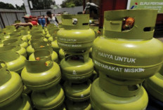 Beli Gas 3 Kg Wajib Pakai KTP