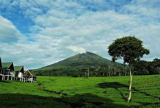 Liburan Sejuk di Atas Awan: Nikmati Kopi, Foto, dan Panorama Gunung Dempo di Pagaralam