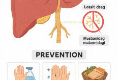 5 Penyebab dan Faktor Penularan Penyakit Hepatitis A