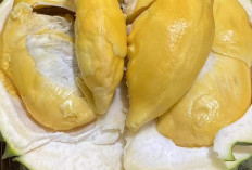 Mengkonsumsi Durian Dapat Menurunkan Risiko Anemia