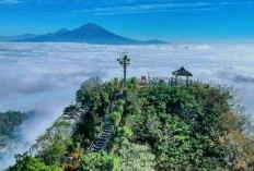 Puncak Suroloyo: Keindahan dan Legenda yang Menginspirasi