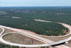 Jalan Tol, Pelabuhan, Industri, hingga Energi Hijau Bersatu Mengangkat Sumsel jadi Pilar Ekonomi Nasional