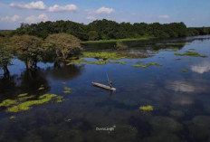 Lagi Naik Daun, Ini Wisata Padang Savana Keren di Sumsel