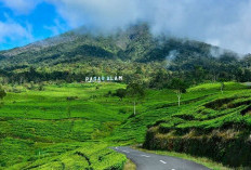 Cocok Untuk Liburan: Dua Destinasi Super Sejuk di Sumsel Ini Bikin Serasa Liburan ke Luar Negeri Cocok 