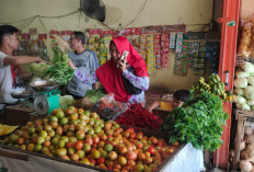 Cabai Keriting Semakin “Pedas”,  Rp100 Ribu Per Kg