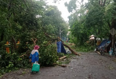 Dahsyatnya Puting Beliung Menggulung Kota Muara Enim, Terparah Sepanjang Sejarah