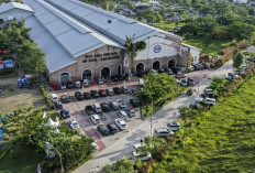 Rest Area Tol Selalu Penuh Saat Mudik? Ini 9 Trik Ampuh Agar Perjalanan Tetap Nyaman!