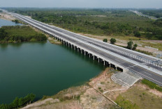 Sumsel Sedang Menulis Babak Baru Dalam Sejarah Pembangunan Indonesia, Semua Dimulai dari Sini!