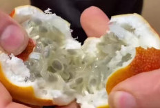 5 Manfaat Buah Markisa bagi Kesehatan