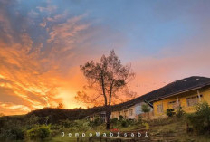 Liburan Tahun Baru 2026 di Kampung Tertinggi Sumsel: Menginap Tenang di Dempo Wabisabi Homestay