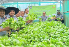 Hidroponik di Balik Jeruji: Lapas Muara Enim Cetak Warga Binaan Mandiri dan Produktif