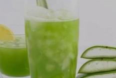 Khasiat Rutin Mengkonsumsi Lidah Buaya