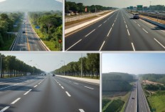 Salah Satunya Tol Palembang-Jambi: 4 Tol Baru Berpusat di Sumsel Berdampak ke 4 Provinsi