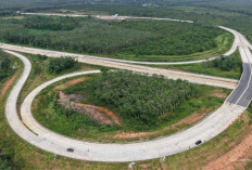 Tol Sumatera Selatan Rp24 Triliun Pangkas Waktu Tempuh dan Dorong Ekonomi