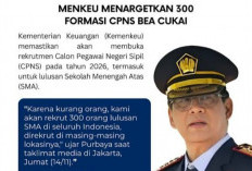 Peluang Emas! Bea Cukai Buka Ratusan CPNS 2026: Dari SMA hingga Sarjana