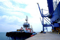 Mega Loncatan Ekonomi Sumsel! Pelabuhan Baru Tanjung Carat Siap Guncang Perdagangan Indonesia