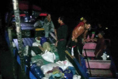 Cari Kerang, Diterkam Buaya 5 Meter 