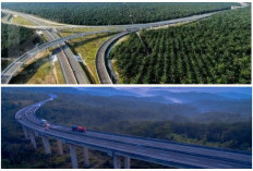 Siap Serbuan Tenaga Kerja! 2 Provinsi Ini Akhirnya Jadi 1 setelah Jalan Tol Palembang-Jambi Rp21 Triliun Kelar