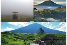 Ingin liburan bergaya Eropa tapi kantong tetap aman? Datang saja ke Kebun Teh Dempo di Pagaralam