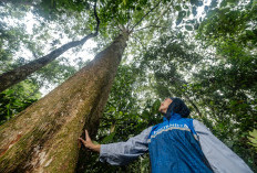 PHR Jaga Ketahanan Energi Selaras Dengan Perlindungan Alam Berkelanjutan