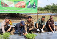 Pj Bupati Canangkan Gerakan Tanam Cabai dan Vaksinasi Rabies Serentak 