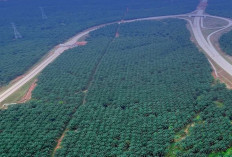 Tol & Pelabuhan Raksasa Sumsel Meledak! Proyek Triliunan Ini Siap Ubah Ekonomi Nasional