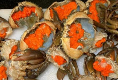 Bongkar Resep Kepiting Telur yang Bikin Lidah Bergoyang!