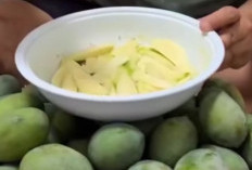8 Manfaat Mangga Muda Untuk Kesehatan Tubuh