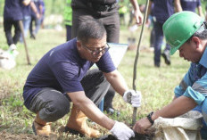 Program Reklamasi PTBA Capai 2.222,08 Hektare dan Rehabilitasi DAS Sudah  5.199,18 Hektar