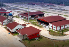 Rest Area Tol Betung-Jambi Seksi 1A Dilengkapi Desain Pucuk Rebung, Progres Tol Sudah 65 Persen