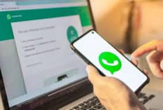 Waspadai Penyadapan WhatsApp, Ini Cara Mudah Mengeceknya