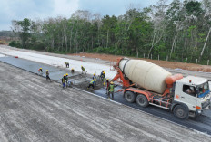 Jalan Tol Ini Tak Sekadar Aspal! Diam-Diam Jadi Senjata Rahasia Pemerintah Kuasai Pangan Nasional
