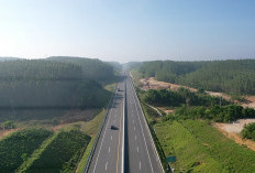 Inilah Transformasi Nyata: Jalan Tol Sebagai Mesin Ekonomi dan Motor Investasi