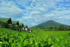 Pagaralam, Kota Sejuk di Kaki Gunung Dempo,  jadi Primadona Wisata Sumatera Selatan
