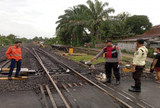 Pulang dari Kalangan, Motor Lansia Diserempet KA Babaranjang